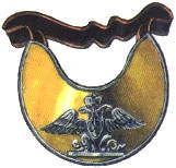 Insignia Hussar