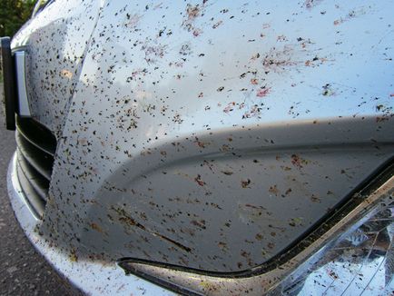Інсектициди спеціальні засоби для видалення комах з зовнішніх панелей автомобіля