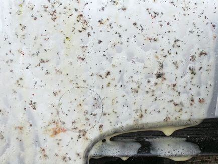 Інсектициди спеціальні засоби для видалення комах з зовнішніх панелей автомобіля