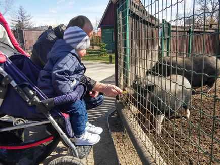 A történet egy utazás, vagy egy család tölteni három napot Bialystok