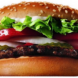 Istoria apariției unui hamburger