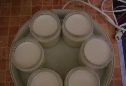 Joghurt Severin JG 3516 - minőségi költségvetési eszköz szerelmeseinek házi joghurt (joghurt) Joghurt Severin JG 3516 - minőségi költségvetési eszköz szerelmeseinek házi joghurt