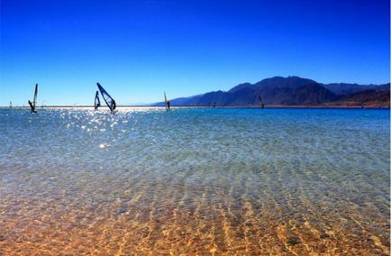 Яка солоність червоного моря червоне море опис і фото