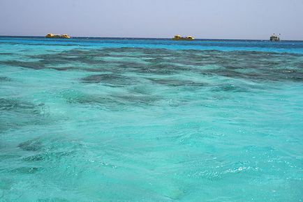 Яка солоність червоного моря червоне море опис і фото