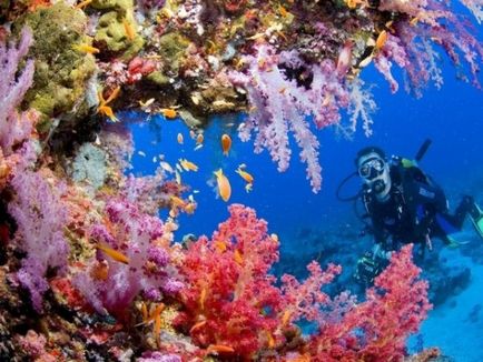 Яка солоність червоного моря червоне море опис і фото