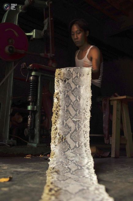 Як роблять сумки зі зміїної шкіри - просто цікаво