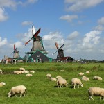 Cum ajungeți în Parcul Keukenhof - excursii la Benelux