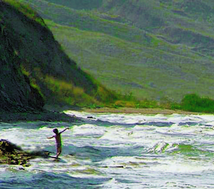 Які річки впадають в Азовське море