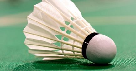 Care sunt cele mai bune bastoane pentru badminton