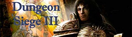 Як грати в dungeon siege iii по мережі, any elite