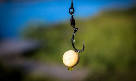 Hogyan lehet eltávolítani a halászati horog ki a szervezetből (a horgot, tisztítsa meg a kezel) Hogyan lehet eltávolítani a halászati horog ki a szervezetből