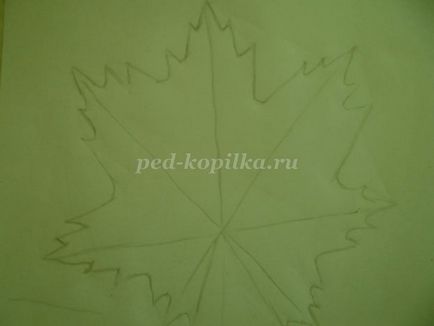Cum de a desena o frunză de arțar în etape cu o fotografie