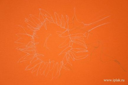 Cum de a desena un pastel de floarea-soarelui
