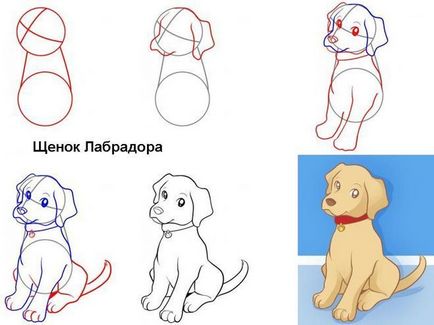 Cum de a desena un câine de la o patrulă de catelus de desene animate în
