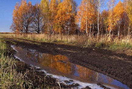 Як визначити погоду за народними прикметами в жовтні, zатусім!