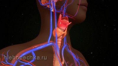 Як користуватися хлебопечкой - сайт про кухонну техніку