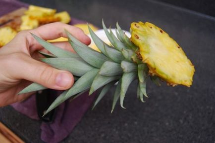 Cum să plantezi și să crești ananas la domiciliu