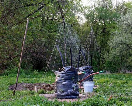 Hogyan növekszik uborka hordók és zsákok - Titkok kertészek