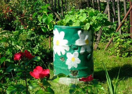 Cum să crească castraveți în butoaie și saci - secretele de grădinari