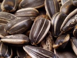 Cum să prăjiți în mod corespunzător semințele, așa cum este corect