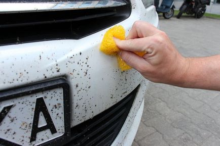 Як з автомобіля змити комах