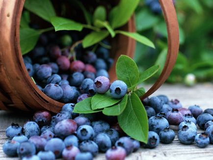 Як зберегти вітаміни в ягодах і фруктах