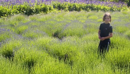 Hogyan válasszuk ki a biztonságos dezodor triklozán - babygreen, természetes megközelítés - egészséges gyermek