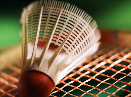 Cum de a alege un badminton de badminton, site-ul sfaturi!
