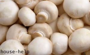 Як виростити гриби на грядці