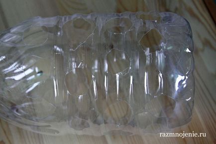 Hogyan növekszik metélőhagyma egy műanyag palack egy ablakpárkányon