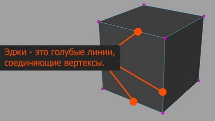 Ключова 3d-термінологія, 3dpapa