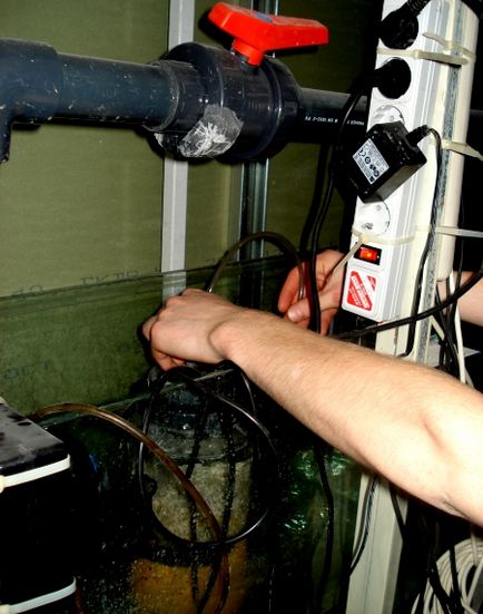 Komplex szolgáltatás és tisztítás akváriumok - stúdió Nemo, Jekatyerinburg (stúdió) Komplex szolgáltatás és tisztítás akváriumok - Nemo Studio, Jekatyerinburg