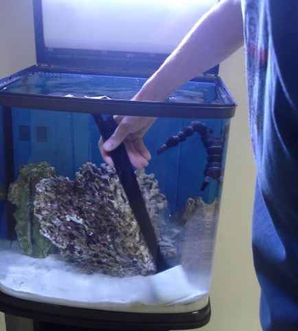 Komplex szolgáltatás és tisztítás akváriumok - stúdió Nemo, Jekatyerinburg (takarítás akváriumokban) Komplex szolgáltatás és tisztítás akváriumok - Nemo Studio, Jekatyerinburg
