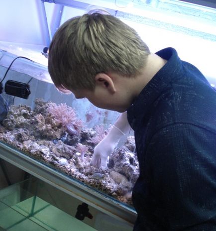 Komplex szolgáltatás és tisztítás akváriumok - stúdió Nemo, Jekatyerinburg (stúdió) Komplex szolgáltatás és tisztítás akváriumok - Nemo Studio, Jekatyerinburg