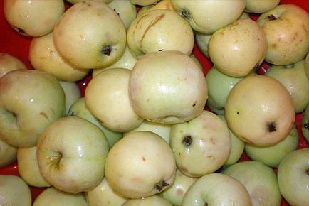 Compote de mere pentru iarnă - rețete pentru prepararea compotului cu sterilizare, fără sterilizare, de la