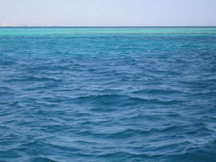 Червоне море фото