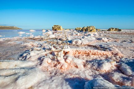 Crimeea se uimește sau cel mai sărat lac din Crimeea, știri de fotografie