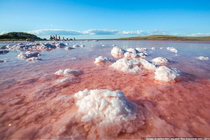 Crimeea se uimește sau cel mai sărat lac din Crimeea, știri de fotografie