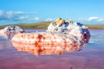 Crimeea se uimește sau cel mai sărat lac din Crimeea, știri de fotografie