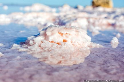 Crimeea se uimește sau cel mai sărat lac din Crimeea, știri de fotografie