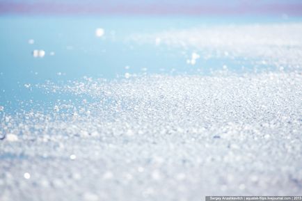 Crimeea se uimește sau cel mai sărat lac din Crimeea, știri de fotografie