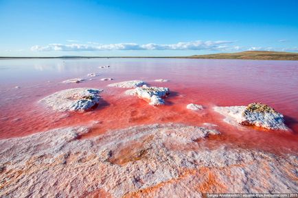 Crimeea se uimește sau cel mai sărat lac din Crimeea, știri de fotografie