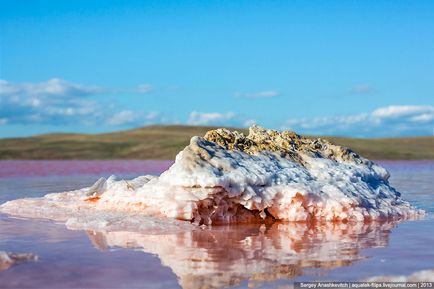 Кримські чудеса або саме солоне озеро в криму, фото новини