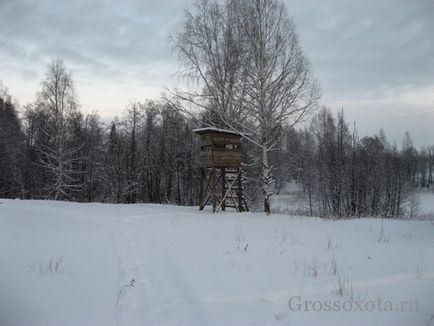 Лабазов і вишки для полювання