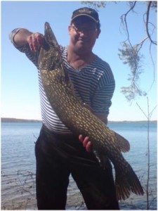 Ladoga-tó gazdag halak, különösen tavasszal, amikor a halak ívási (tavasszal) Ladoga-tó gazdag halak, különösen tavasszal, amikor a halak ívási