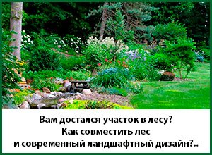 Ландшафтне проектування ділянки від 3000 рублів