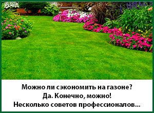 Ландшафтне проектування ділянки від 3000 рублів