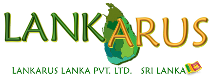 Lankarus - kumarika tápláló haj olaj - tápláló haj olaj kumarika (dél) Lankarus - kumarika tápláló haj olaj - tápláló haj olaj kumarika