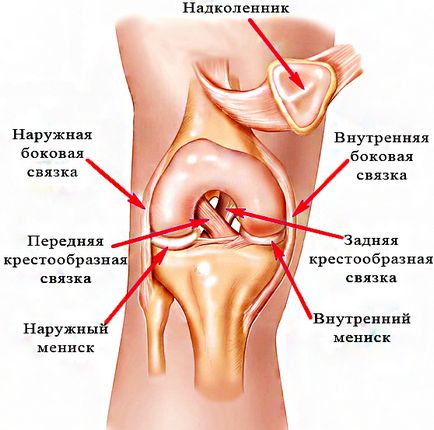 Лікування розриву зв'язок колінного суглоба за кордоном - медицина світу