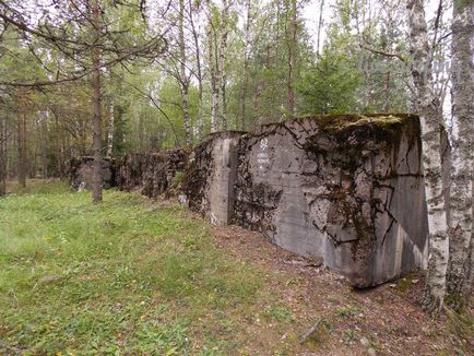 Лінія Маннергейма, сталк